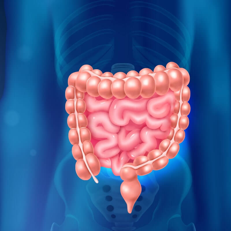 Gastroenterology